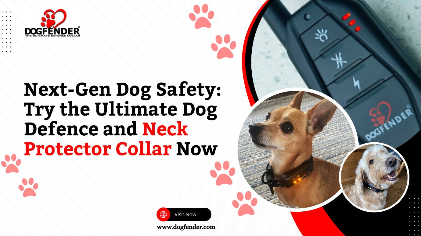 Dog Collar USA